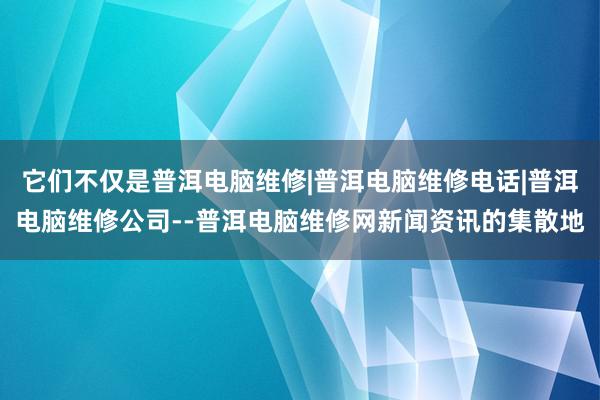 它们不仅是普洱电脑维修|普洱电脑维修电话|普洱电脑维修公司--普洱电脑维修网新闻资讯的集散地