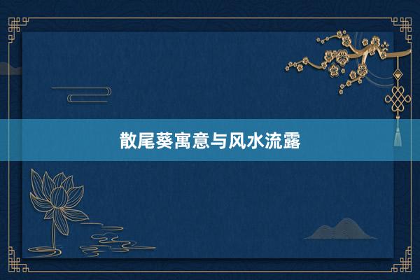 散尾葵寓意与风水流露